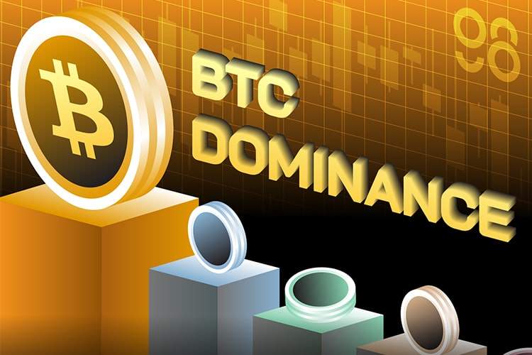منظور از دامیننس بیت کوین چیست؟