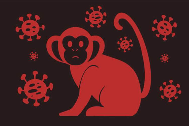 ایپ کوین (APE)