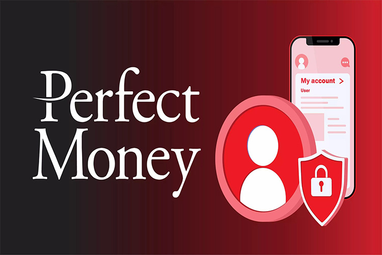 ووچر پرفکت مانی