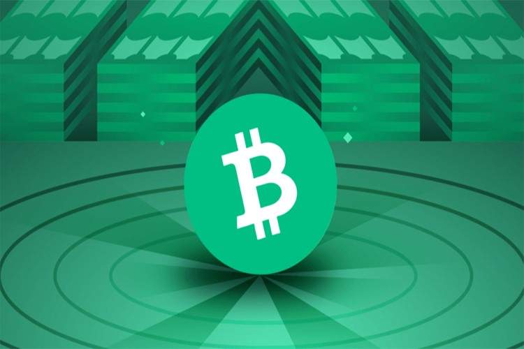تحلیل قیمت بیتکوین کش (BCH) در سالهای گذشته