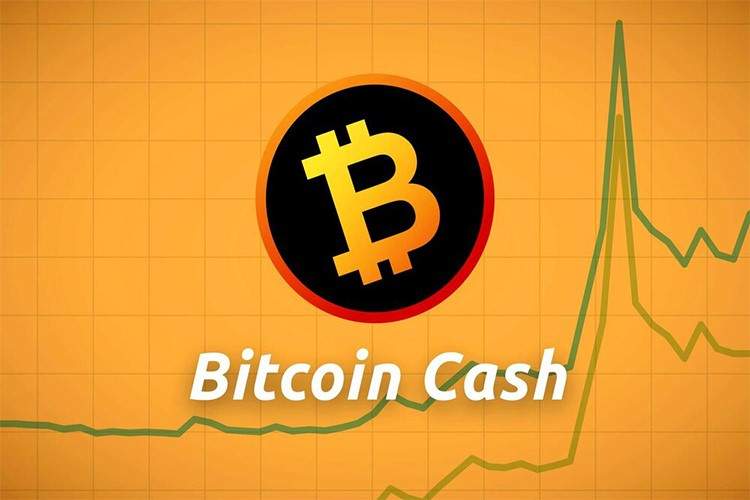 اهمیت و نقش استخراج بیتکوین کش