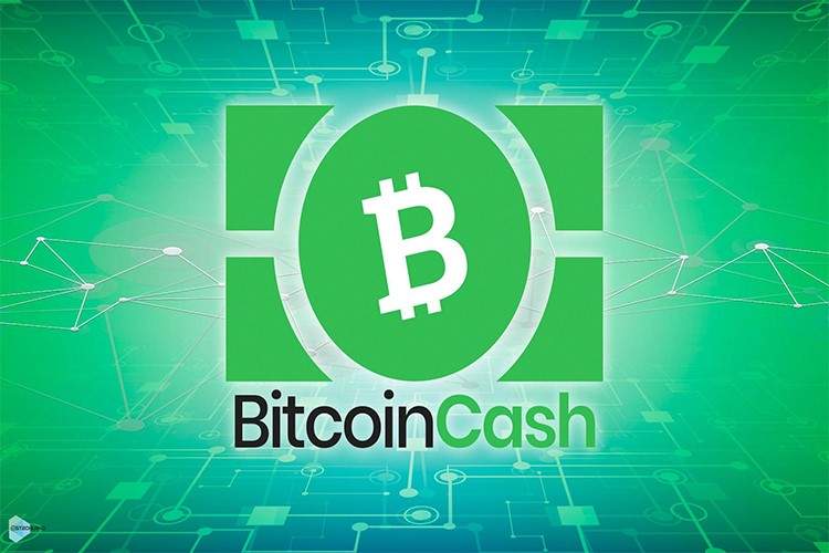 انواع کیف پولهای سختافزاری محبوب