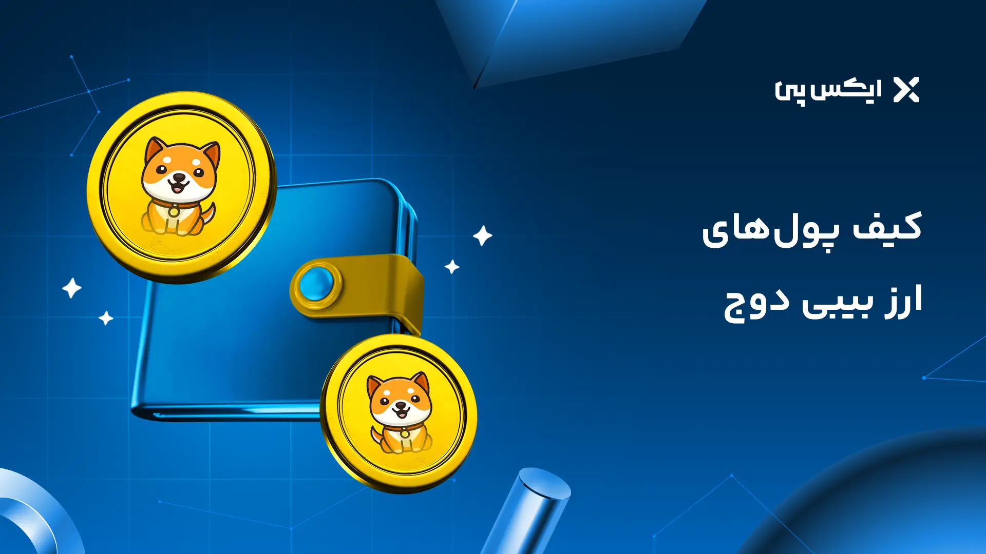 کیف پول های ارز بیبی دوج